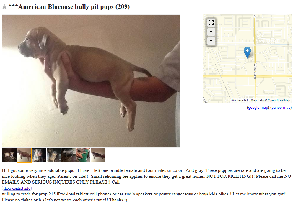 The Hidden Risks of Trading Dogs on Craigslist
