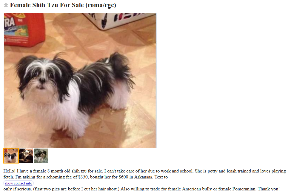 The Hidden Risks of Trading Dogs on Craigslist
