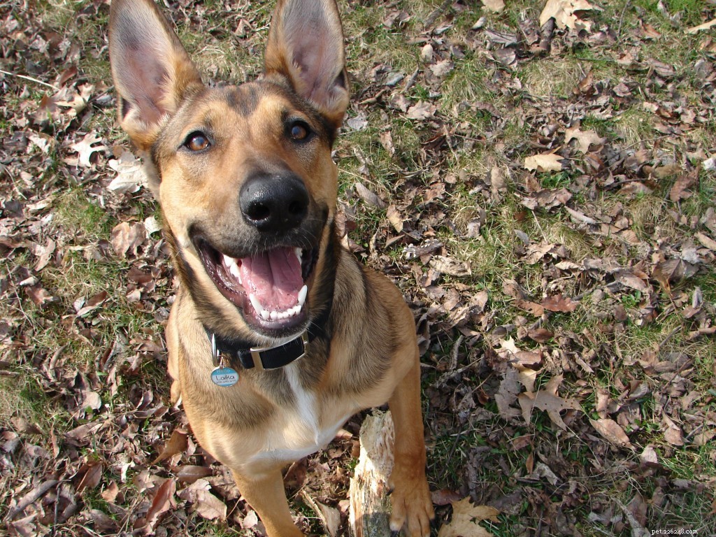 Wordless Wednesday: Spreading Smiles All Day