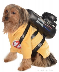 Help Pick the Perfect Halloween Dog Costume