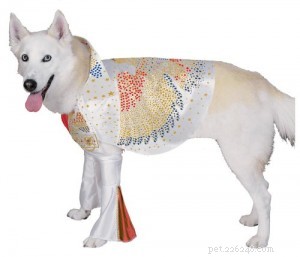 Help Pick the Perfect Halloween Dog Costume