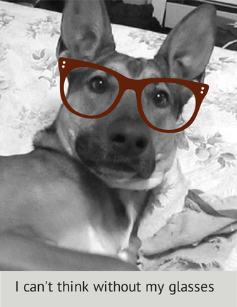 Do These Glasses Really Enhance Your Smart Look? Find Out Here