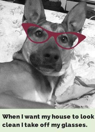 Do These Glasses Really Enhance Your Smart Look? Find Out Here