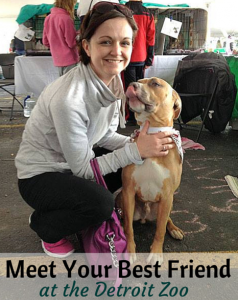 Find Your Forever Companion at the Detroit Zoo s Adoption Event