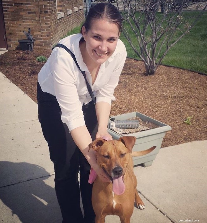 Happy Tails: Inspiring Shelter Adoption Success Stories