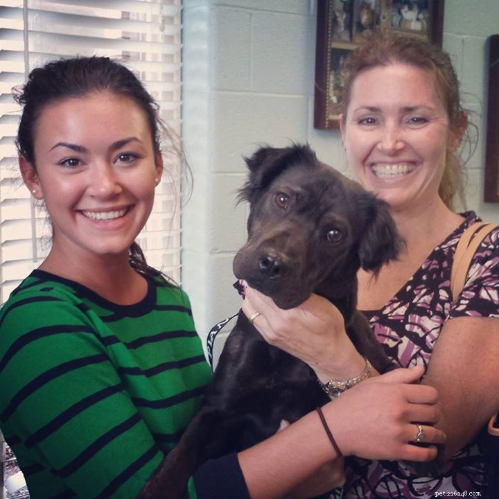 Happy Tails: Inspiring Shelter Adoption Success Stories