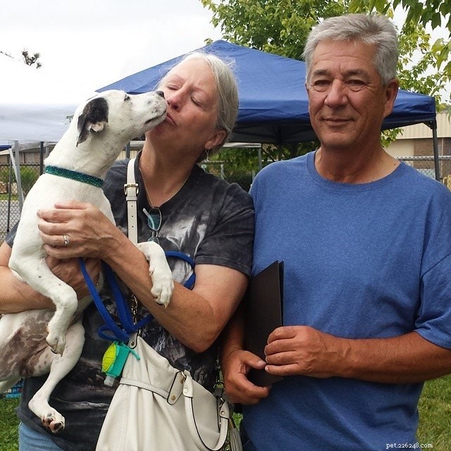Happy Tails: Inspiring Shelter Adoption Success Stories
