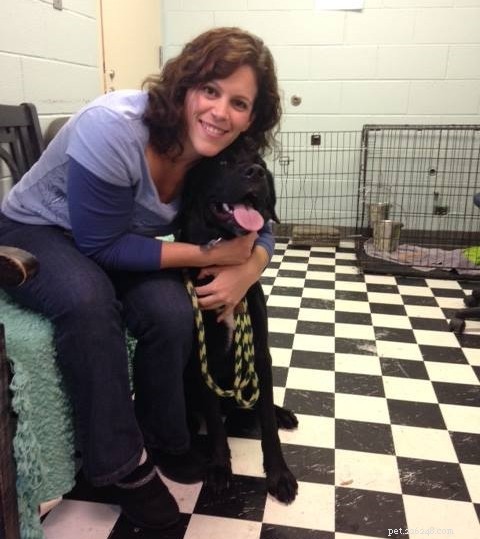 Happy Tails: Inspiring Shelter Adoption Success Stories
