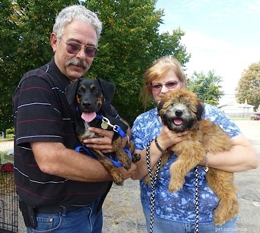 Happy Tails: Inspiring Shelter Adoption Success Stories