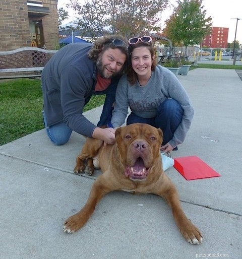 Happy Tails: Inspiring Shelter Adoption Success Stories