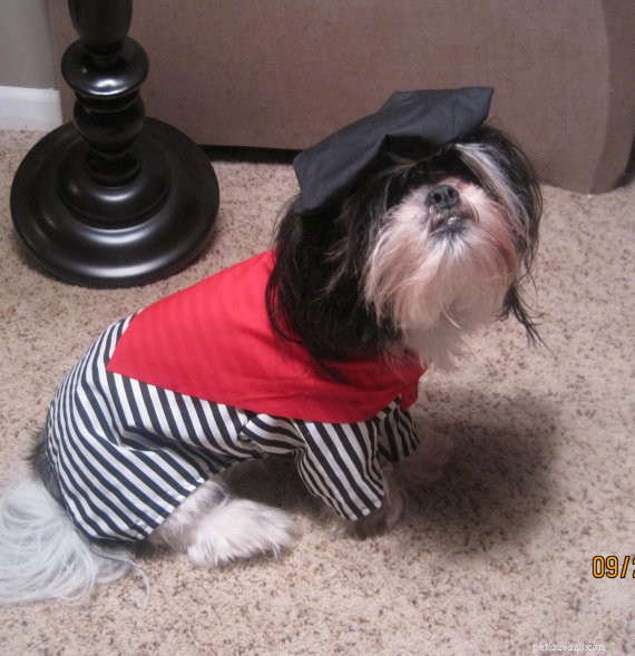 30 Stunning Dog Costumes for a Safe & Stylish Halloween