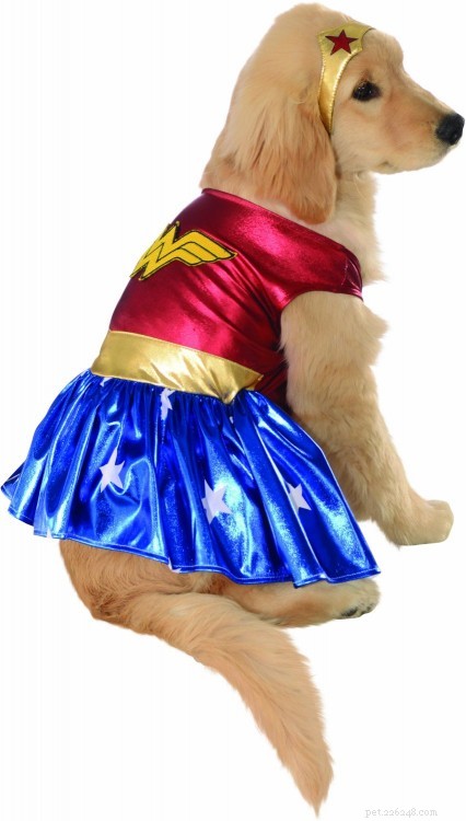 30 Stunning Dog Costumes for a Safe & Stylish Halloween
