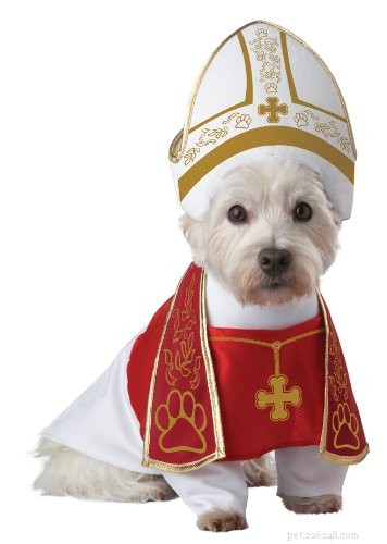 30 Stunning Dog Costumes for a Safe & Stylish Halloween