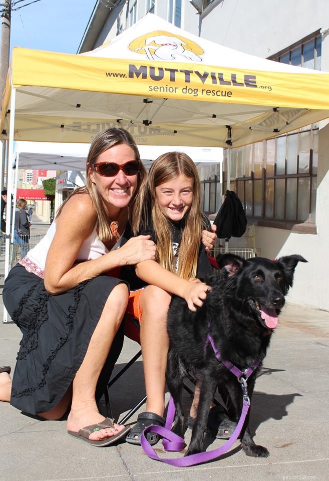 Heartwarming Smiles: Senior Dogs Find New Homes & Joy