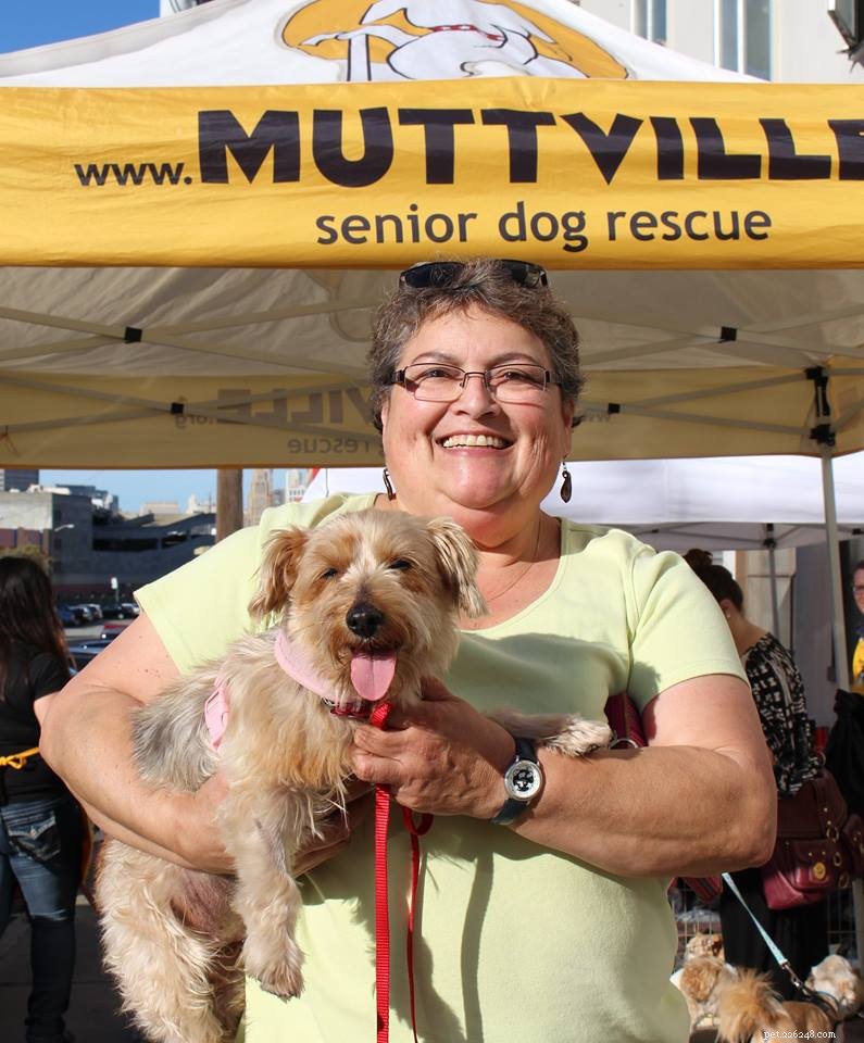 Heartwarming Smiles: Senior Dogs Find New Homes & Joy