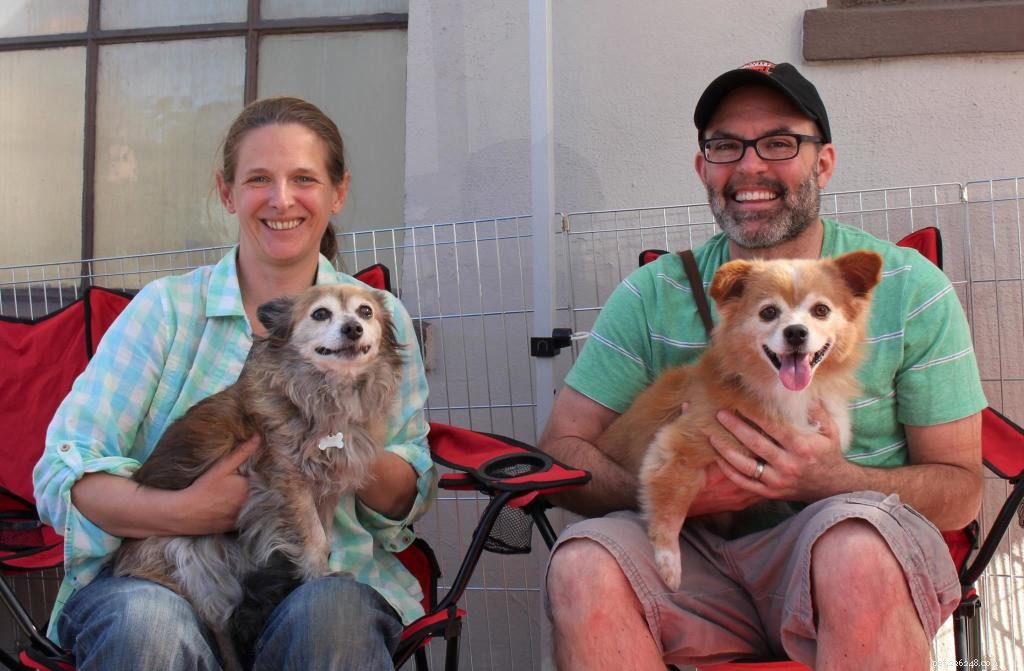 Heartwarming Smiles: Senior Dogs Find New Homes & Joy