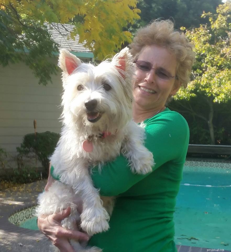 Heartwarming Smiles: Senior Dogs Find New Homes & Joy
