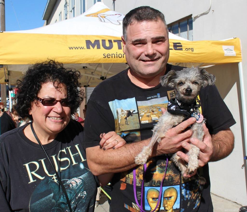 Heartwarming Smiles: Senior Dogs Find New Homes & Joy