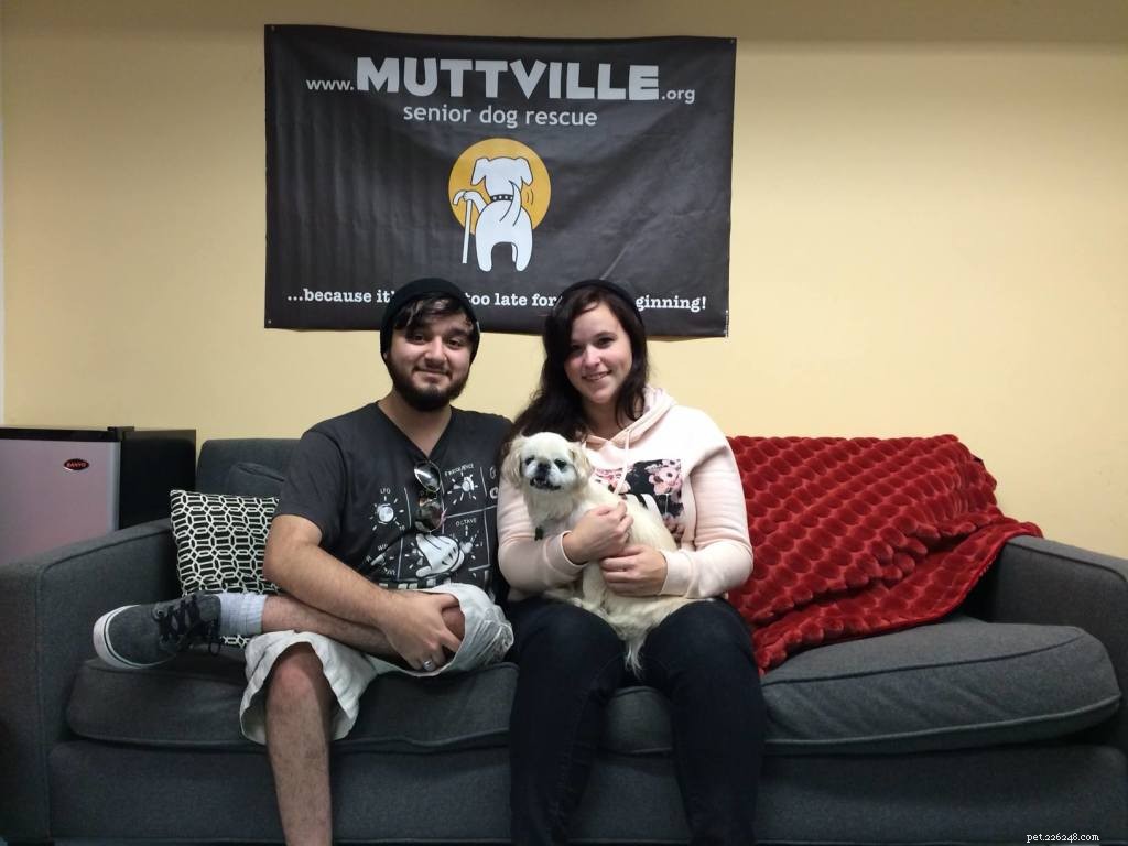Heartwarming Smiles: Senior Dogs Find New Homes & Joy