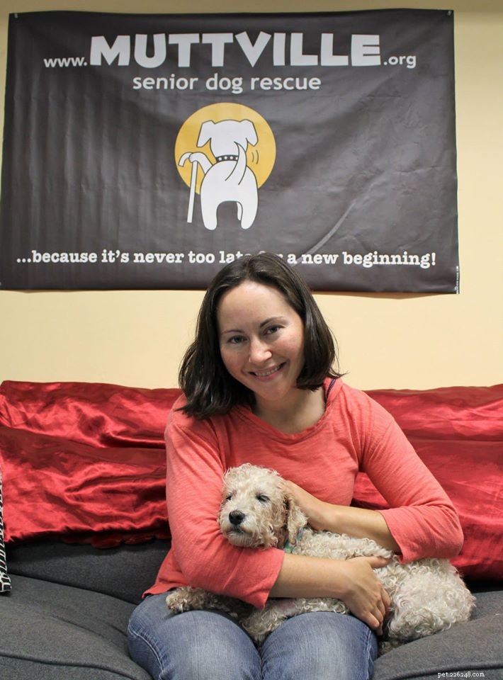 Heartwarming Smiles: Senior Dogs Find New Homes & Joy