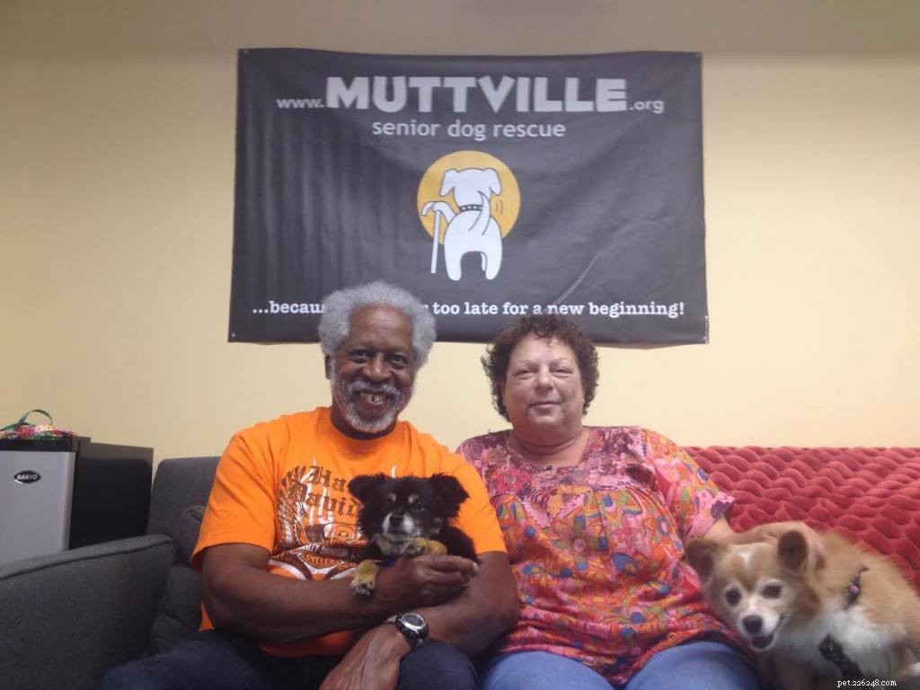 Heartwarming Smiles: Senior Dogs Find New Homes & Joy