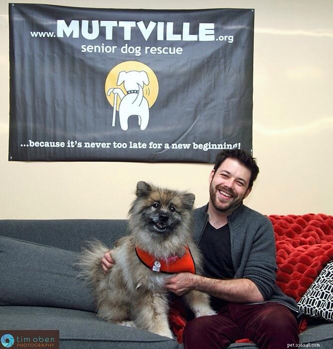 Heartwarming Smiles: Senior Dogs Find New Homes & Joy