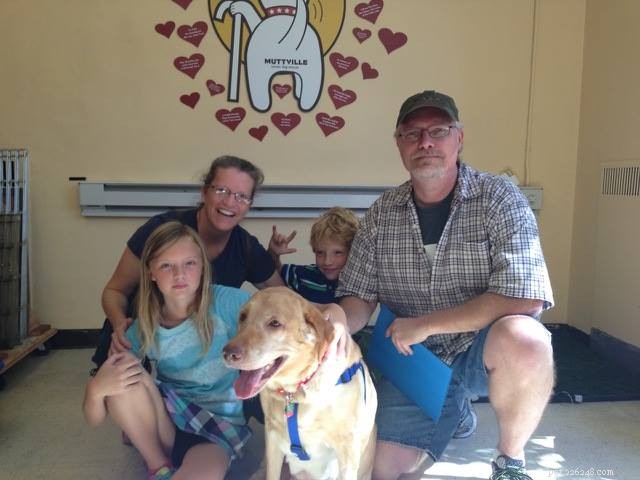 Heartwarming Smiles: Senior Dogs Find New Homes & Joy