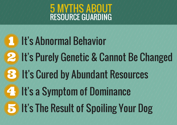 Debunking 5 Common Myths About Resource Guarding in Dogs