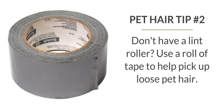 10 Proven Ways to Keep Your Home Fur-Free
