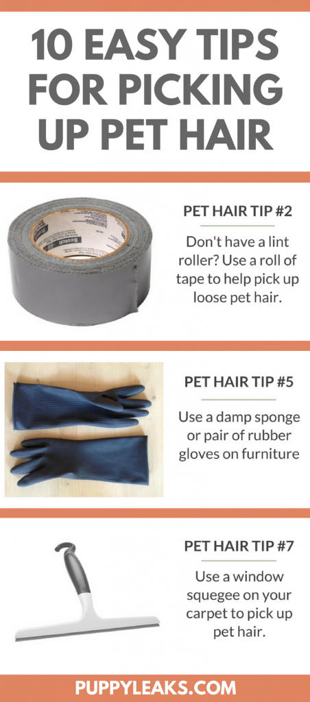 10 Proven Ways to Keep Your Home Fur-Free