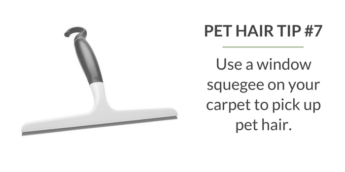 10 Proven Ways to Keep Your Home Fur-Free