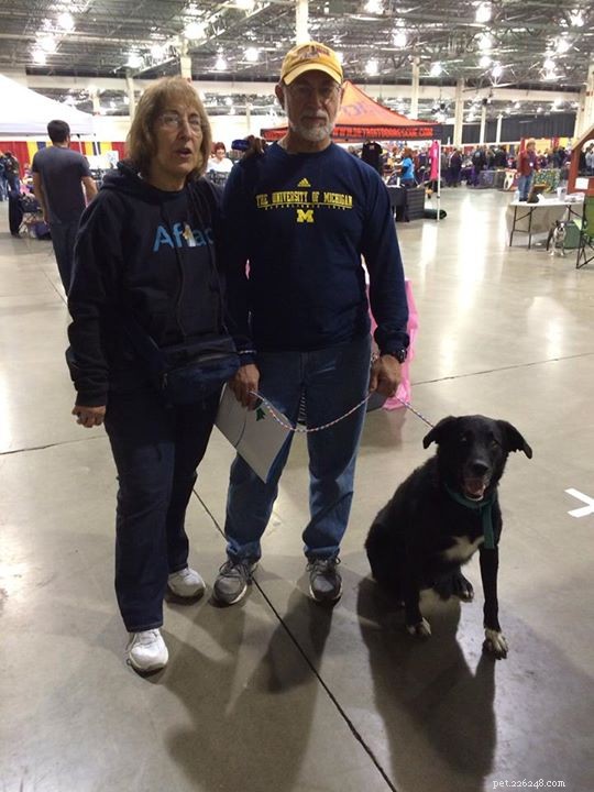 Kent County Animal Shelter Removes Adoption Fees Through Year-End to Increase Pet Adoption