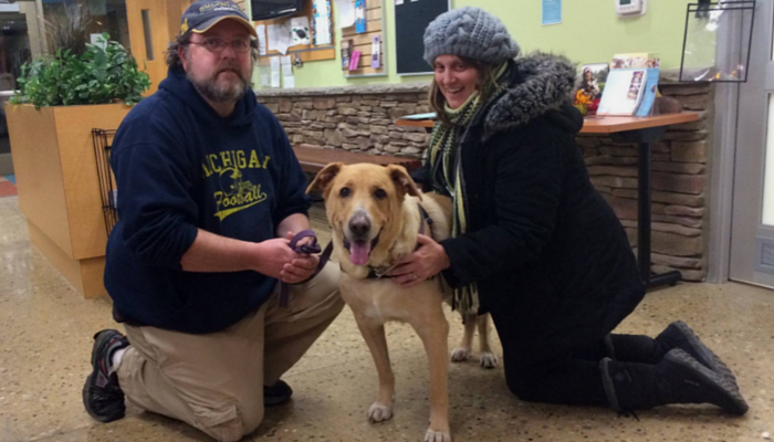 Kent County Animal Shelter Removes Adoption Fees Through Year-End to Increase Pet Adoption