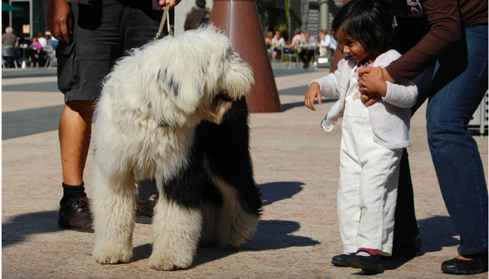 10 Expert Tips to Keep Your Kids Safe from Dog Bites