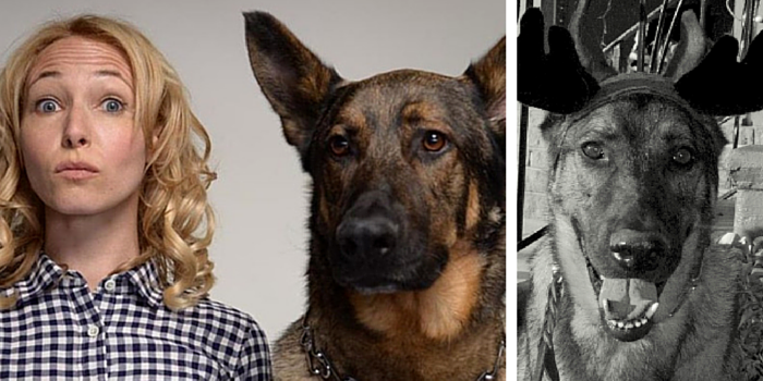 2014’s Top 3 Must‑Read Puppy Blog Posts