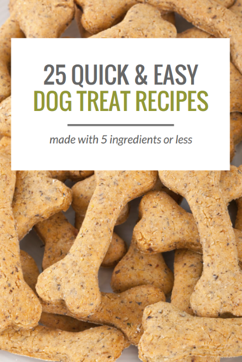 25 Simple Homemade Dog Treat Recipes: 5 Ingredients or Fewer