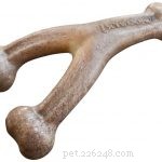 7 Indestructible Dog Toys That Withstand Even the Toughest Chews
