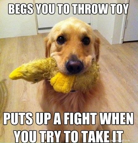 Does Your Dog Act Rough When You re Sick?