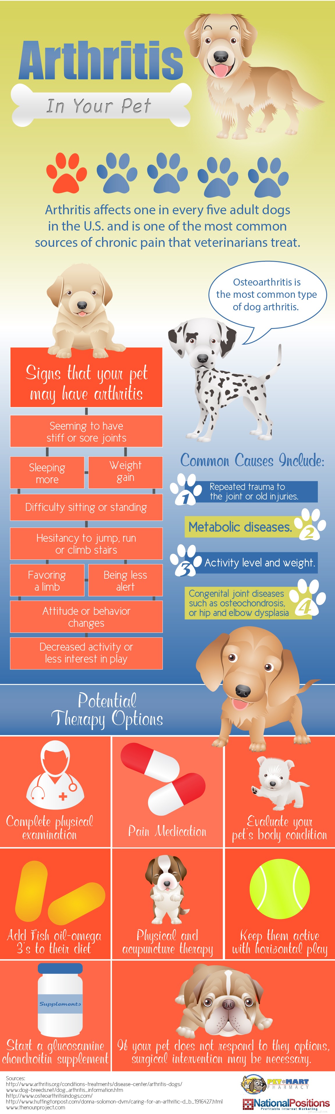 I Overlooked My Dog’s Arthritis Symptoms – Here’s What to Watch