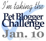 Join the 5th Annual Pet Blogger Challenge 2015 – Showcase, Inspire, and Connect with Fellow Pet Bloggers
