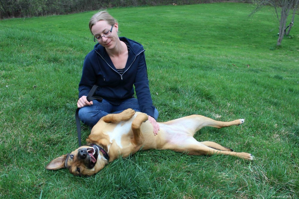 10 Proven Benefits of Choosing a Rescue Dog