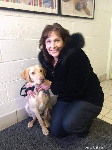 Max, a Gentle Doberman, Finds a Loving Home – Success Story