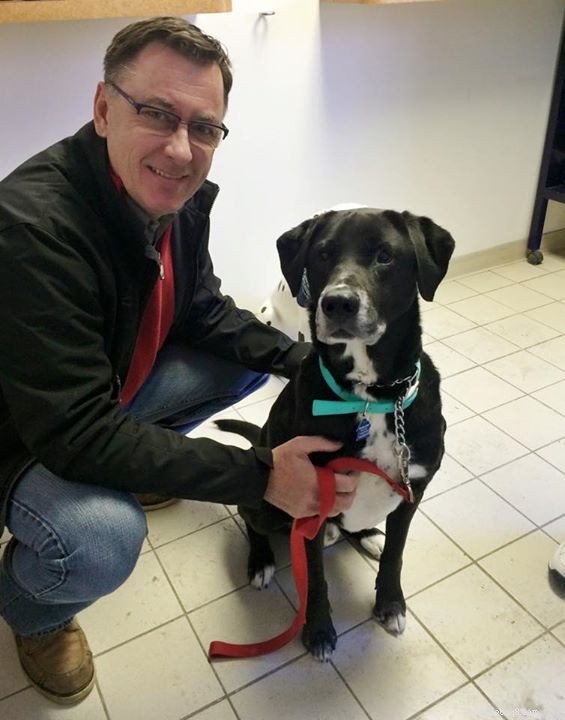 Max, a Gentle Doberman, Finds a Loving Home – Success Story