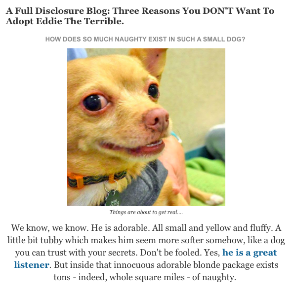 Dog Lovers  Weekly Roundup #9: Top Canine Stories of the Week
