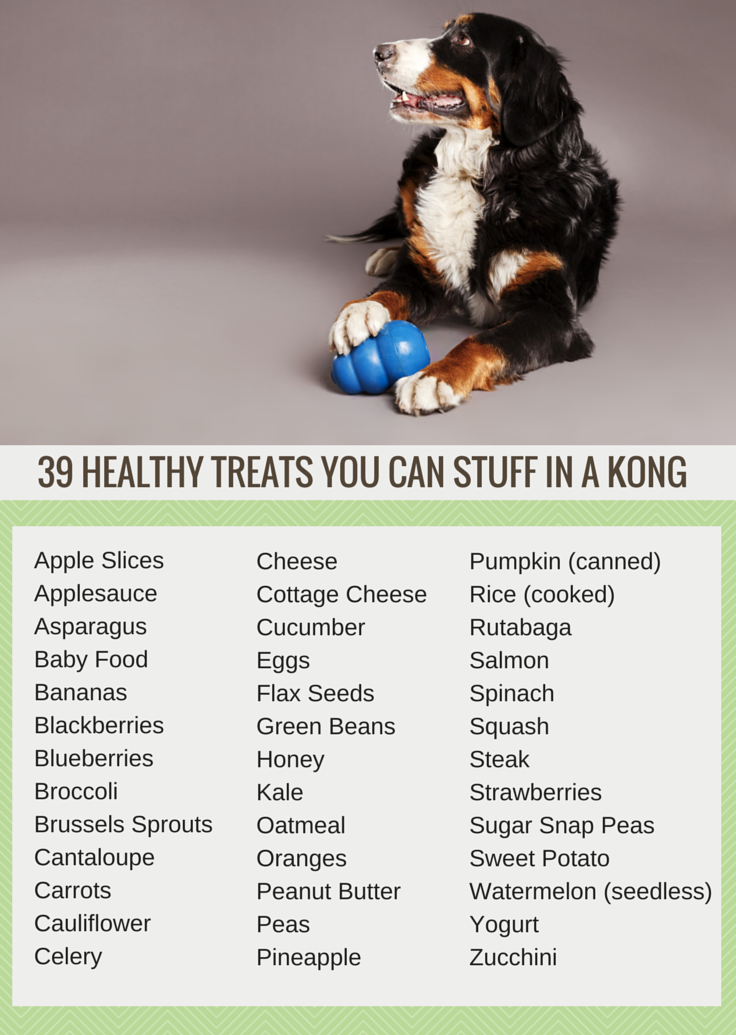 39 Nutritious Kong-Filling Treats That Keep Your Dog Engaged & Happy