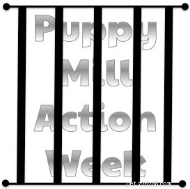 Behind Every Pet Store Puppy: The Real Story of Its Mother