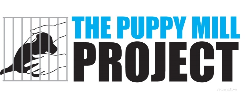 Behind Every Pet Store Puppy: The Real Story of Its Mother