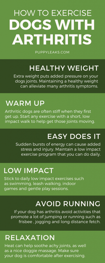 Active Living for Dogs with Arthritis: Safe Exercise Tips