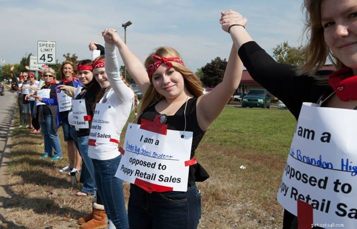 Stand Against Puppy Mills in Michigan: Join the Fight for Animal Welfare