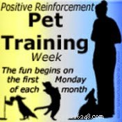 Transform Dog Training Into a Fun, Rewarding Experience